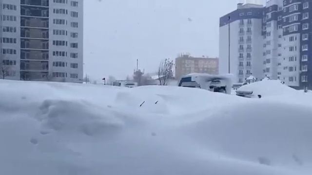 Сахалин, метель, январь 2022 г. смотреть онлайн