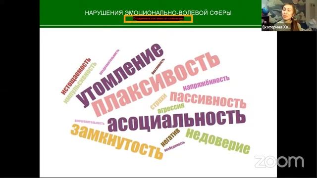 Основные категории детей с ОВЗ