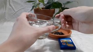 Кислотность почвы для комнатных растений I Как определить, как влияет на растения, как регулировать