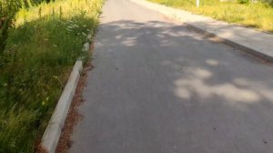 Пруд Болтушка Белгород 2023г