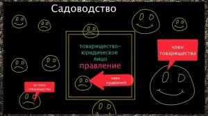 "Товарищество" или всё таки "товарищество"?