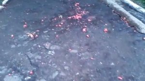 Скидываем половину арбуза с 10 этажа.