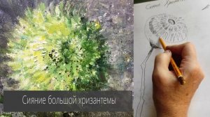 Что нужно знать, чтобы нарисовать Хризантему? Подробный разбор цветка от Елены Ильичевой