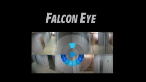 Функциональные возможности системы видеонаблюдения Falcon Eye.mp4