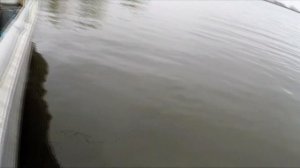 Старая Ахтуба