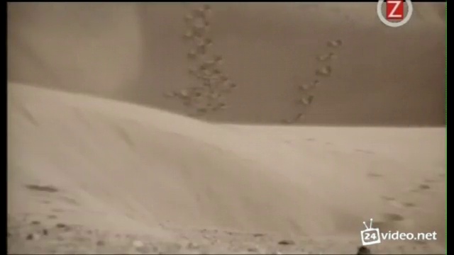 dj_aligator_protect_your_ears смотреть онлайн