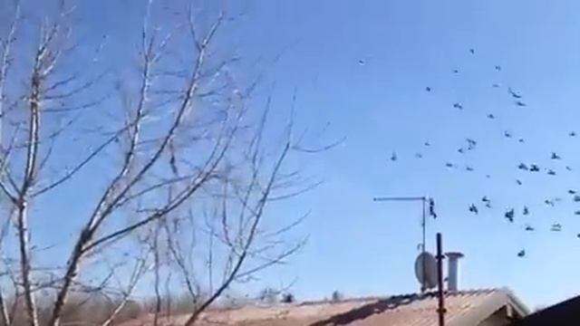 Наш дом смотреть онлайн