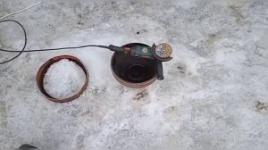 Чучело для сбора семени хряка из газового баллона. Сделал для молодого хрячка железную леди!