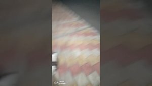 Хаски выпрашивает шаурму))).mp4