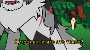 |Коты воители| |Проишествие в патруле| [RUS SUB]