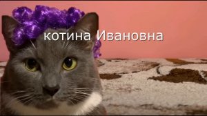 Заставка Котинет 2023