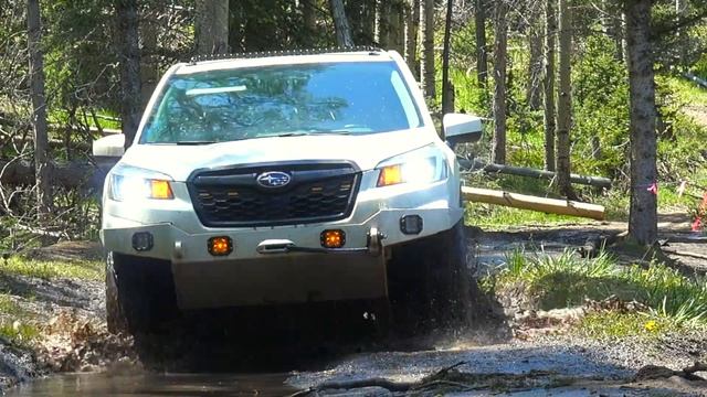 Subaru Forester Off Road Deep Mud