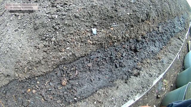 Посев капусты белокочанной на рассаду в теплице смотреть онлайн