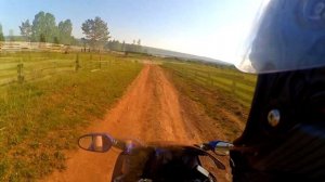 Honda CBR1100XX 200 km/h  black bird  Test xiomi yi 1080p 60fps #honda #blackbird #дрозд #cbr1100xx