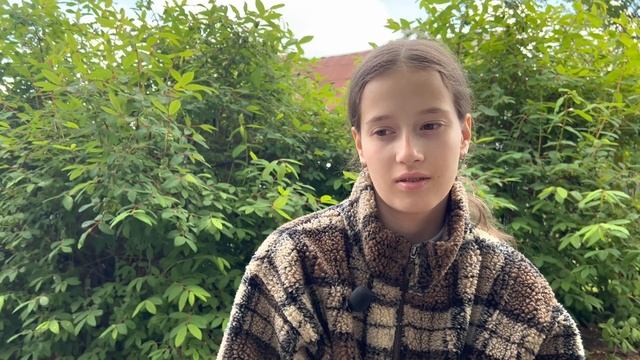 Фонвизин Недоросль - суть и краткое содержание