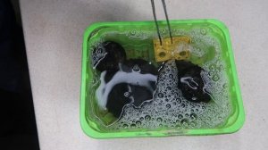 Восстановление детской игрушки