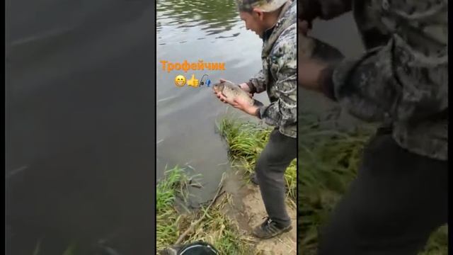 Рыбалка на Клязьме. Карась на фидер. смотреть онлайн