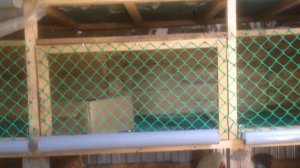 Клетка для выращивания бройлеров