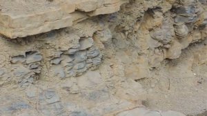 День за днём, за годом год. Время не назад, время только вперёд.Час за часом, за минутой минута