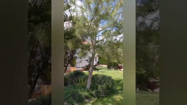 "Минусы" жизни в Испании. смотреть онлайн