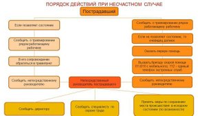 Вводный инструктаж по охране труда для работников
