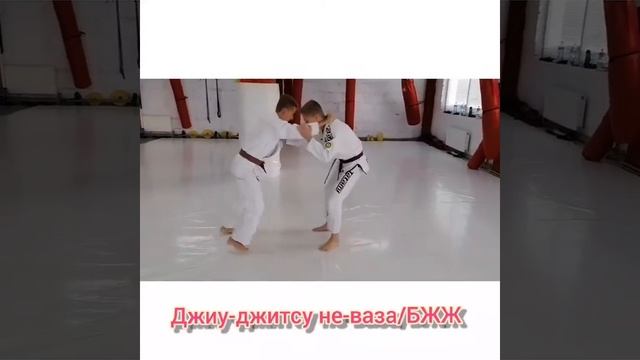 Академия джиу-джитсу "Татсу-До" смотреть онлайн