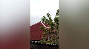 Молодеж на хороший ветерок 2021.mp4