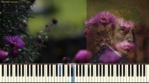 Ноктюрн ре бемоль мажор - Шопен Ф. (Nocturne in D-flat_Op.27 No.2 _,Chopin) (Пример игры)