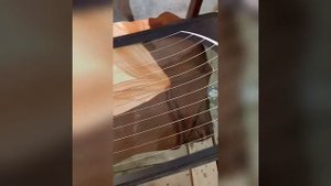 Замена стекла тойота витц