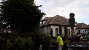 Флорида США Богатые дома Город миллионеров - тихий размеренный город  Нейплс -Naples,  Флорида США