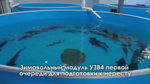 УЗВ КАК БИЗНЕС №1 | Что такое УЗВ?