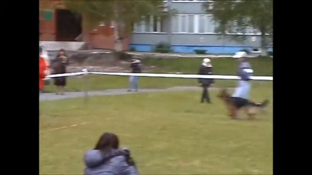 Монопородная выставка немецкой овчарки,Кемерово 2014. смотреть онлайн