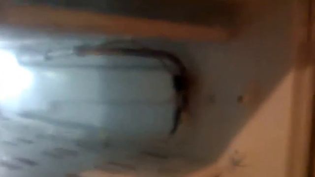 Нет холода в холодильной камере. Что делать ?