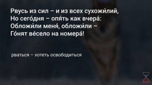 Владимир Высоцкий "Охота на волков" | Читаем стихи с Анной