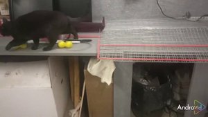 Клетка для перепелов на 30 птиц.