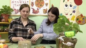 Мастер - класс «Изготовление травянчика»