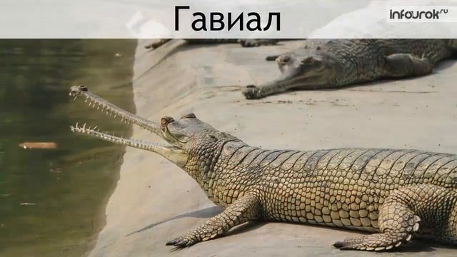 математика 4 класс деление в столбик в частном 0 смотреть онлайн