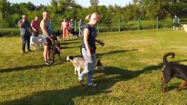 групповая предринговая подготовка смотреть онлайн