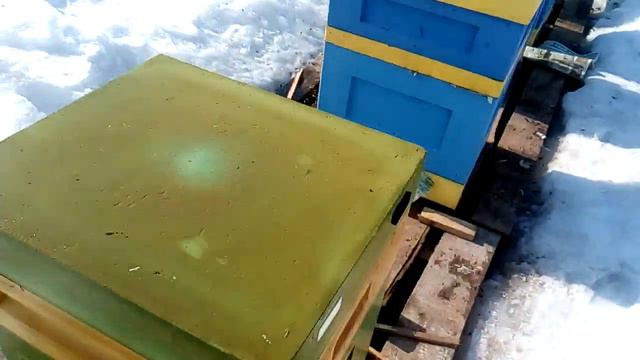 Спасаем семью Бакфаст. смотреть онлайн