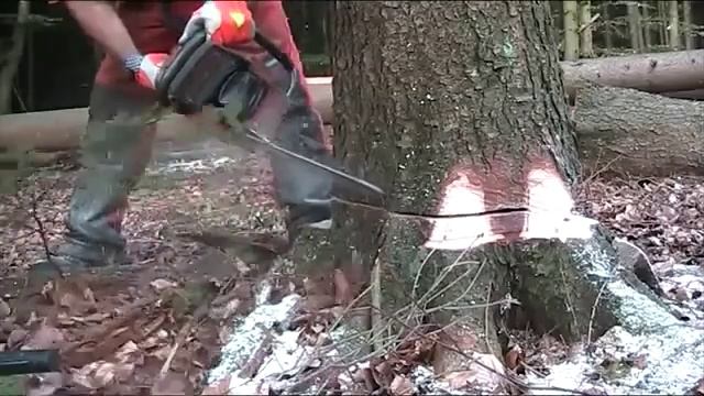 Киндер пилит дерево голосом смотреть онлайн