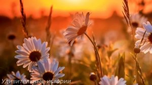 Выйдя по УДО, Марина решила отомстить за свой срок бывшему мужу и его любовнице. Их ждал сюрприз...