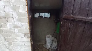 расход дров за сезон [твердотопливный котел]