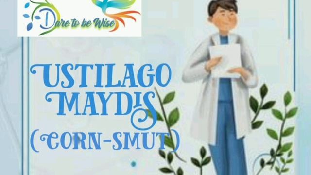 #audesapare #homeopathicmedicine #materiamedica Reading Ustilago Maydis from Boericke Materia Medic смотреть онлайн