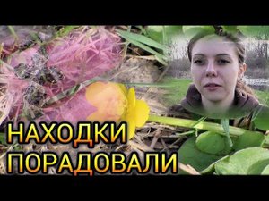 Коп 2018. Находки порадовали