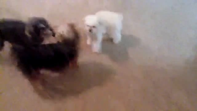 Remy Mia pearl смотреть онлайн