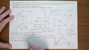 6619