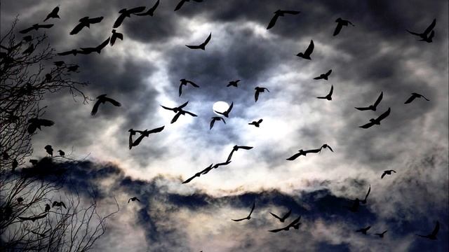 Олег Чабан – Уходило лето (стихи Elena Sayshe) смотреть онлайн