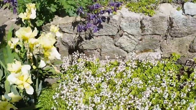 Weekly Vlog: FLOWER SHOPPING! смотреть онлайн