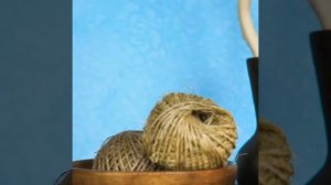 26 СТИЛЬНЫХ ИДЕЙ ПОКРАСКИ СТЕН