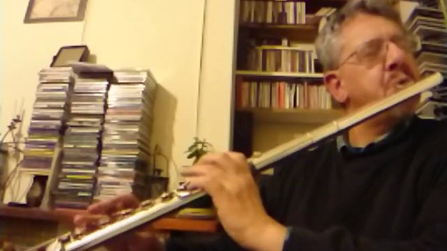 Böhm system alto flute by Peter Worrell - O'Carolan: "Mr. O'Connor" смотреть онлайн